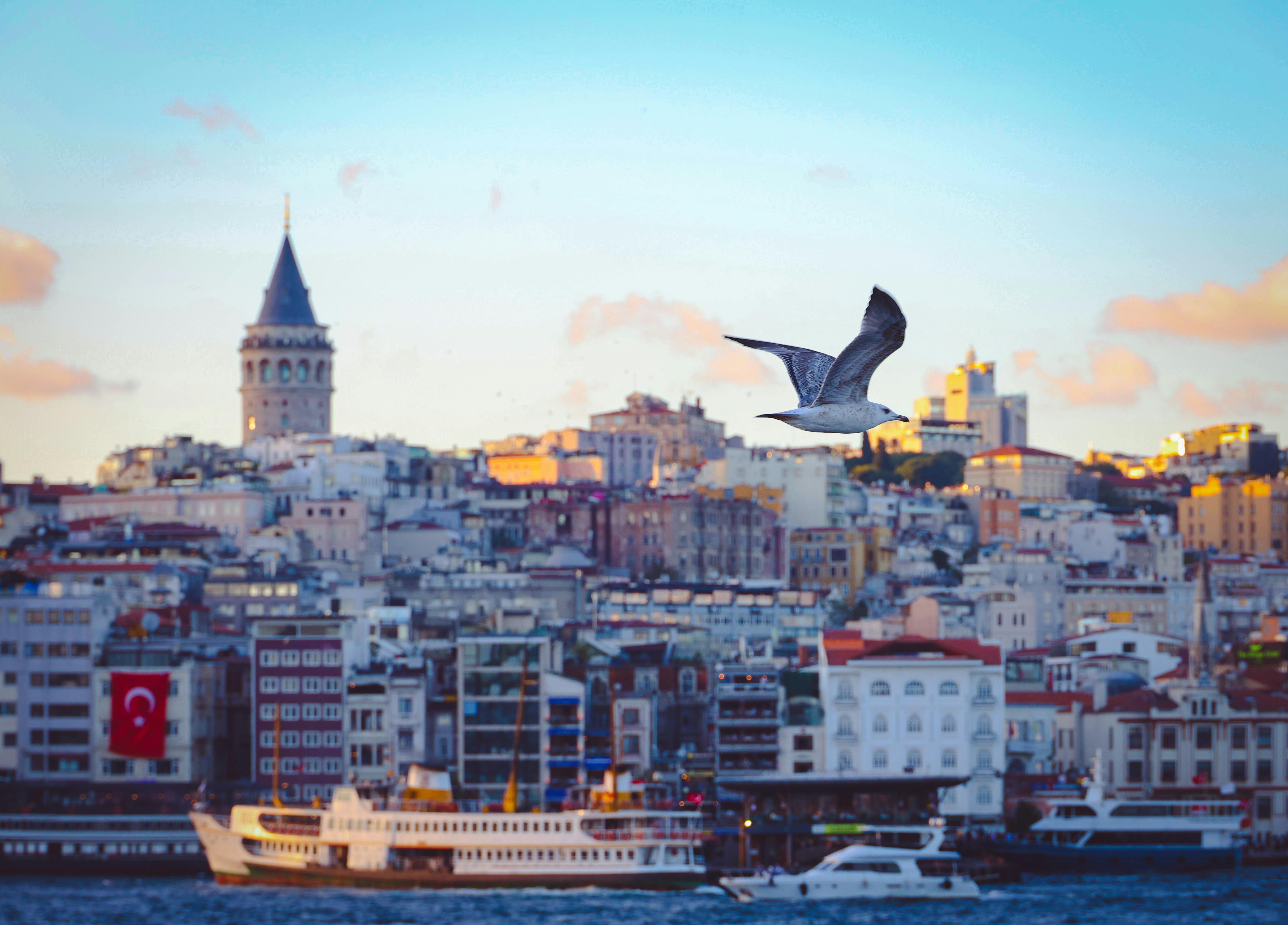 Discover Turkey